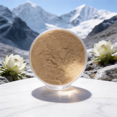 Is snow lotus powder safe for elderly people to take daily?